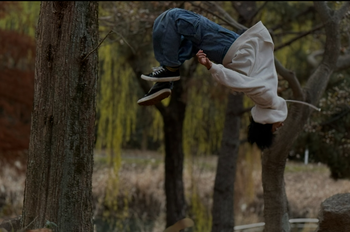 パルクール指導者になるならBeMo Plus